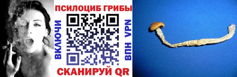 Галлюциногенные грибы MAGIC MUSHROOMS  Сычёвка 